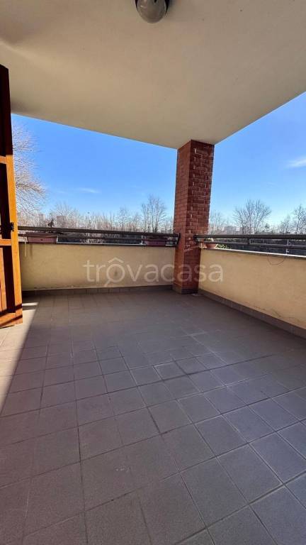 immagine annuncio 11 di 14