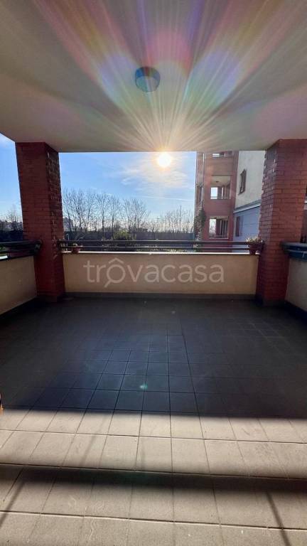 immagine annuncio 12 di 14