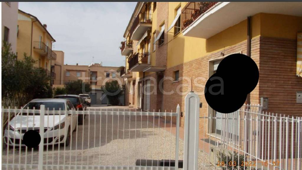 immagine annuncio 2 di 11