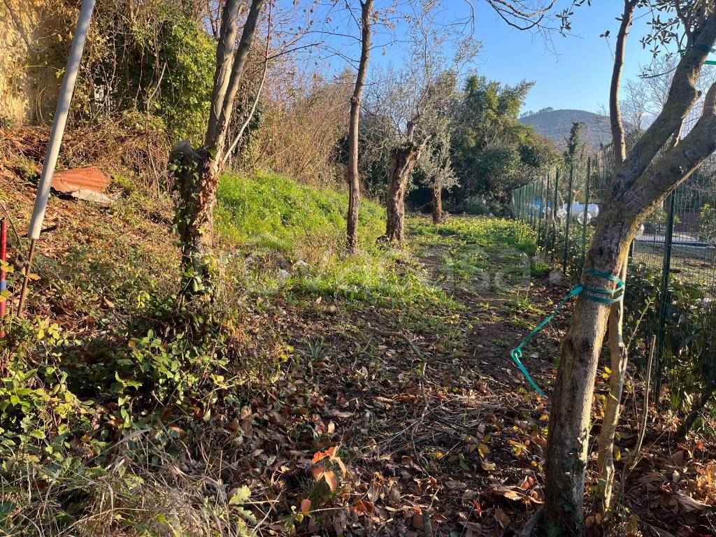 immagine annuncio 2 di 6