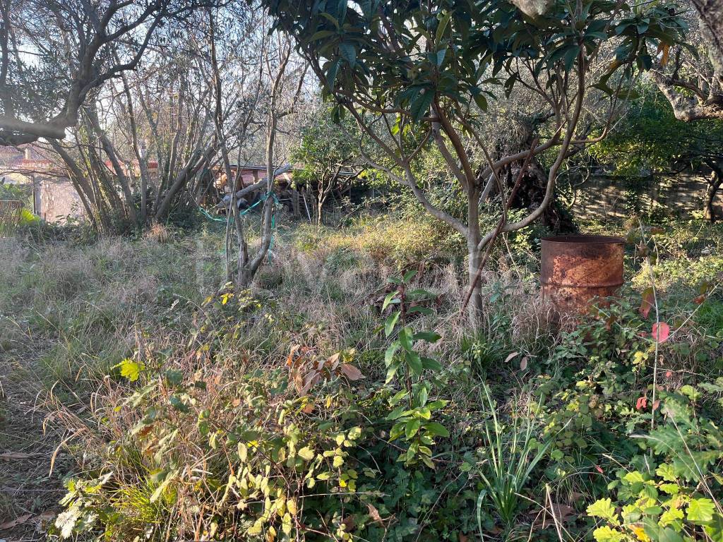 immagine annuncio 3 di 6