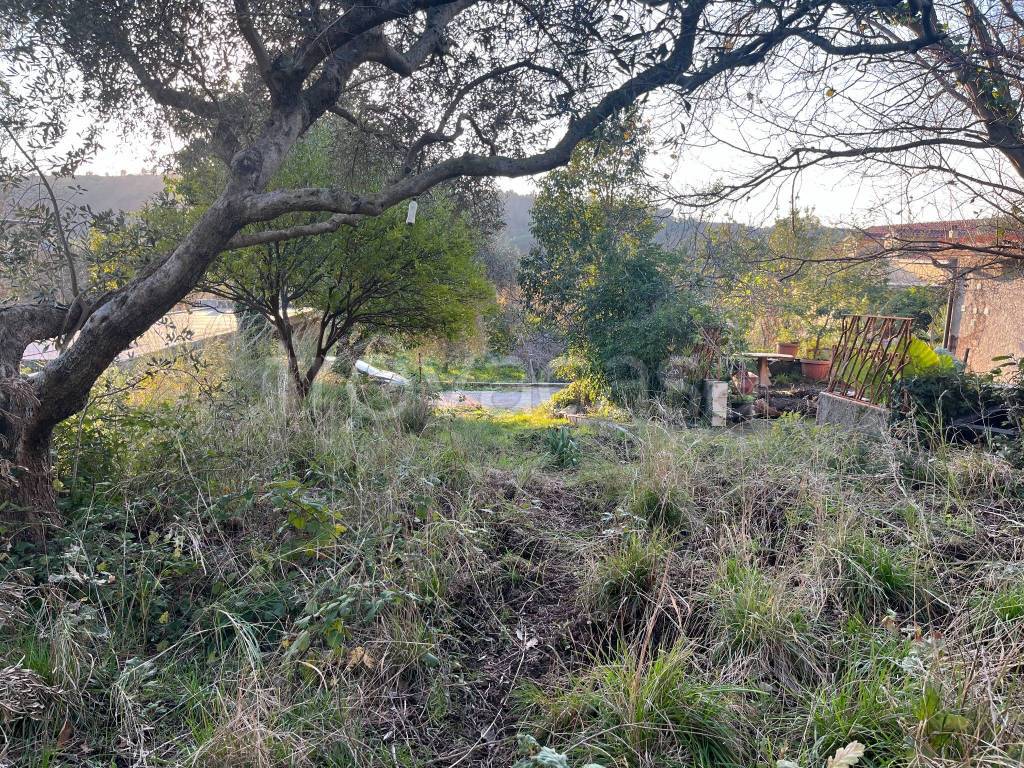 immagine annuncio 4 di 6