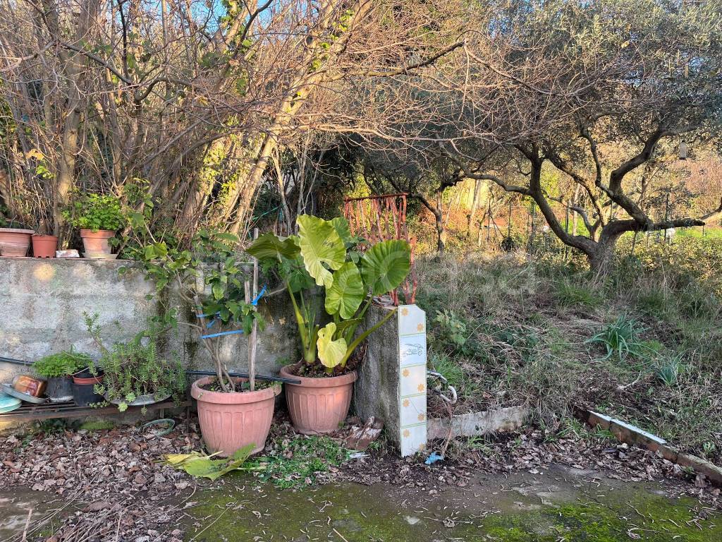 immagine annuncio 1 di 6