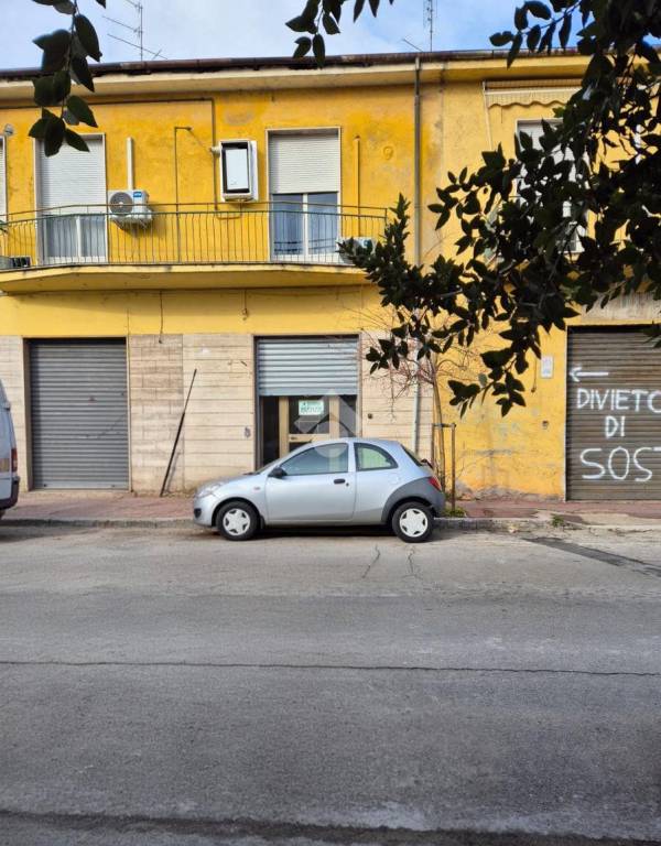 immagine annuncio 5 di 14