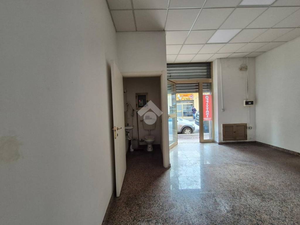 immagine annuncio 6 di 14