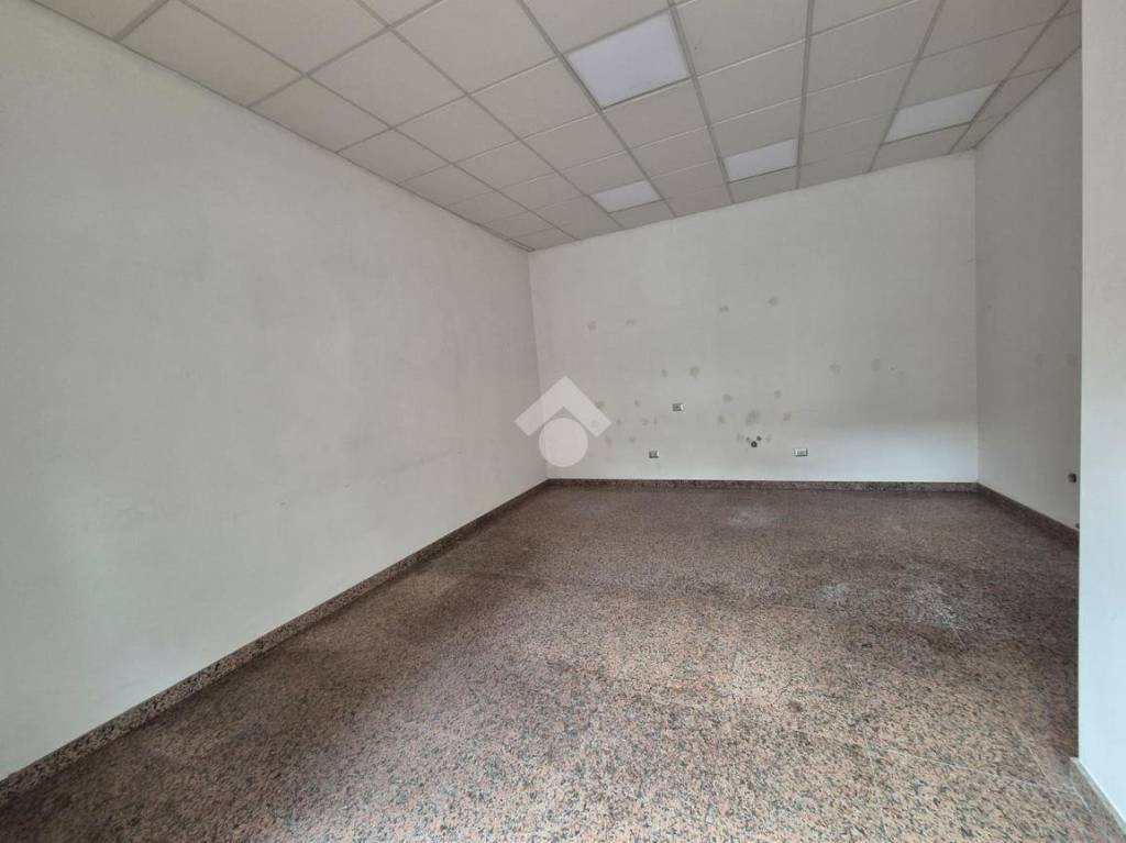 immagine annuncio 10 di 14