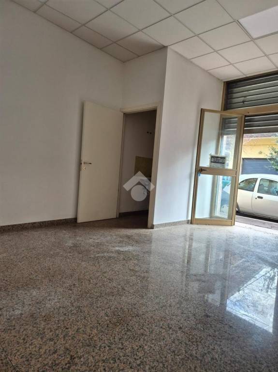 immagine annuncio 11 di 14