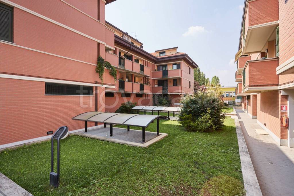 immagine annuncio 2 di 12