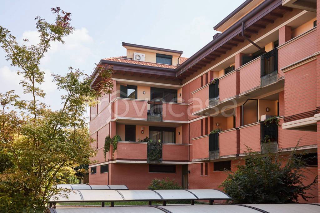 immagine annuncio 3 di 12