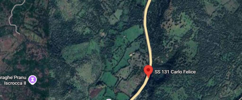 immagine annuncio 5 di 12