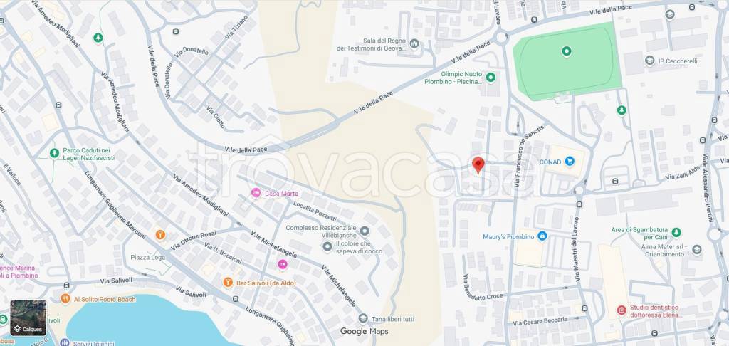 immagine annuncio 12 di 13