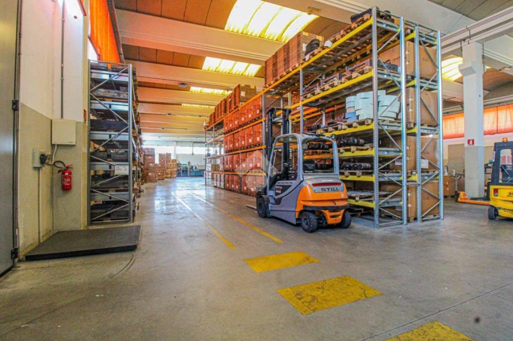 immagine annuncio 9 di 15