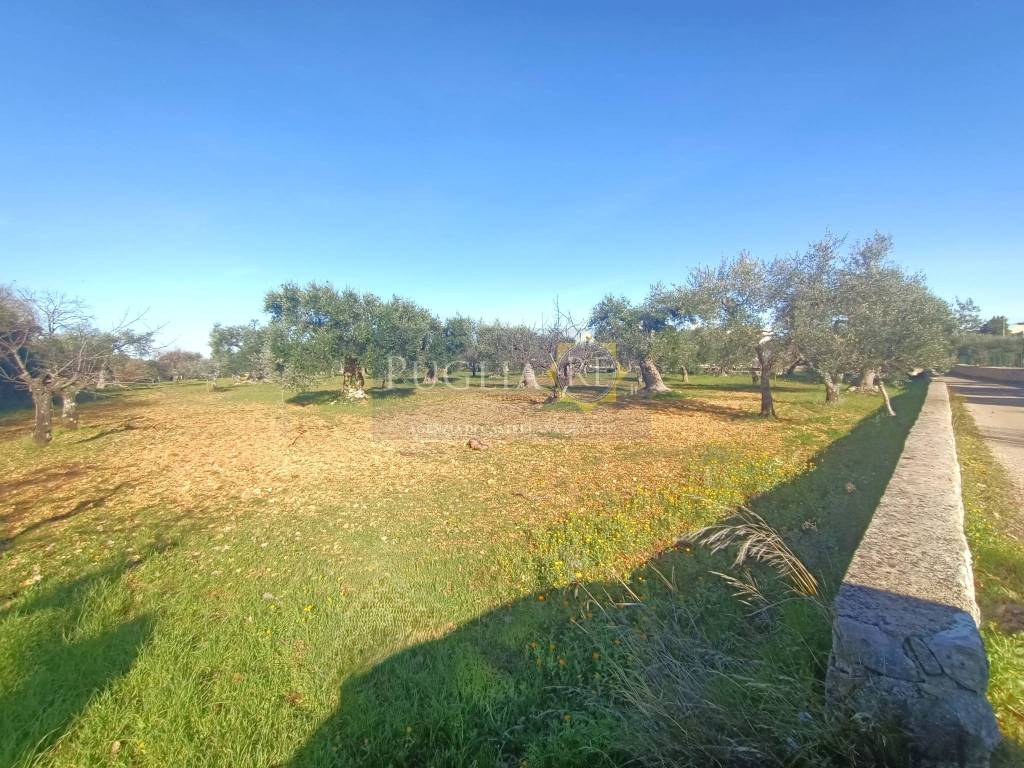 immagine annuncio 4 di 9