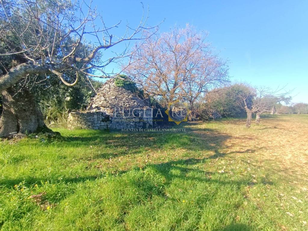 immagine annuncio 5 di 9