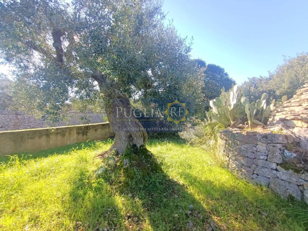 immagine annuncio 6 di 9