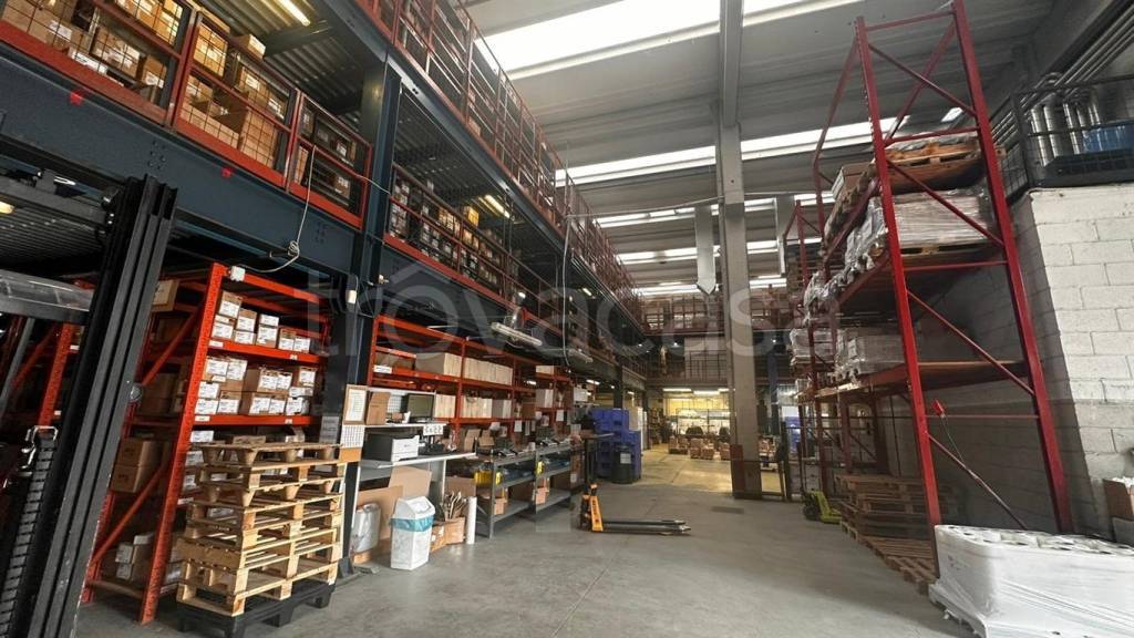 immagine annuncio 3 di 15