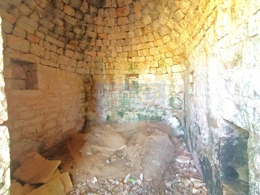 immagine annuncio 3 di 9