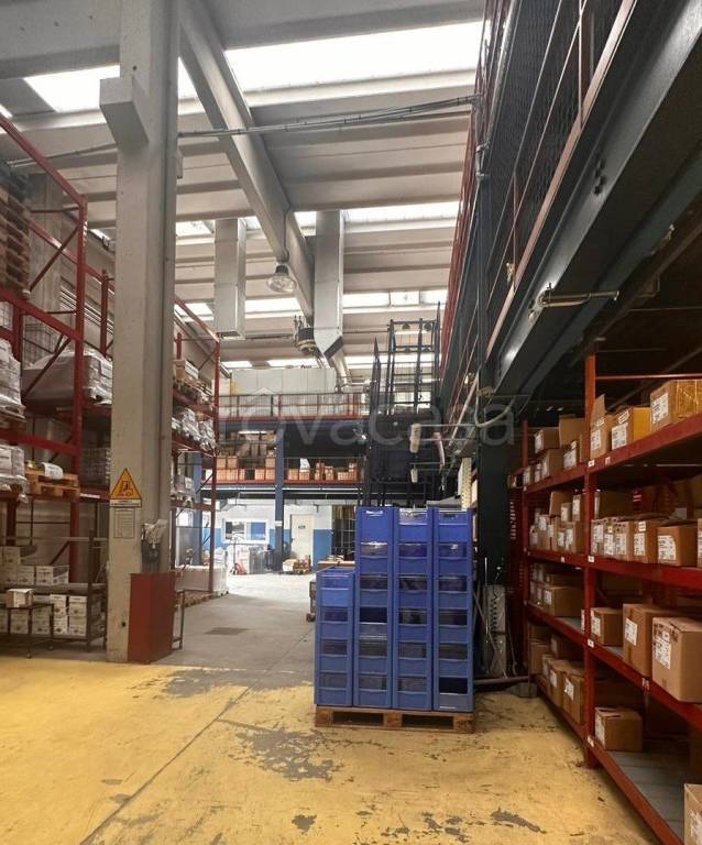 immagine annuncio 7 di 15