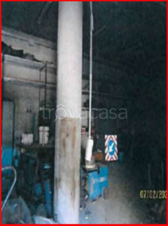 immagine annuncio 6 di 12