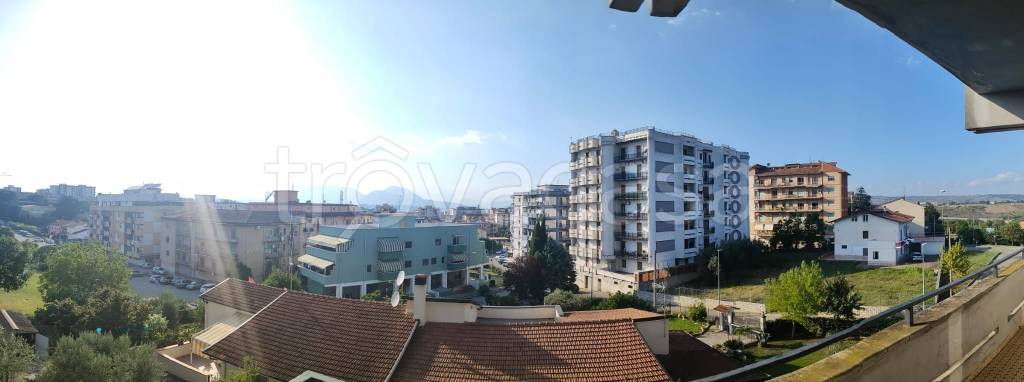 immagine annuncio 8 di 14