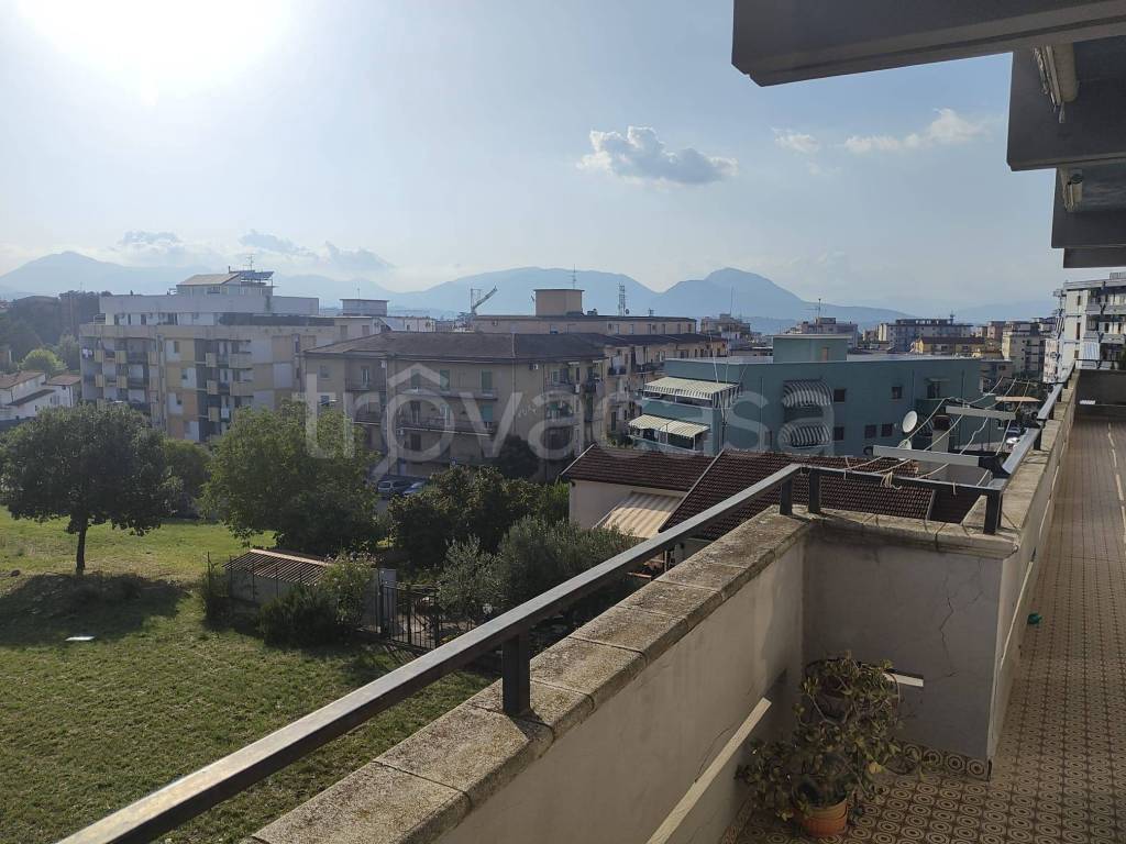 immagine annuncio 9 di 14