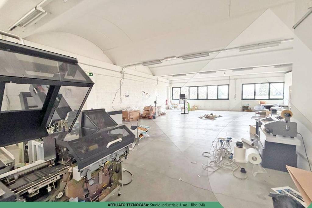 immagine annuncio 2 di 12