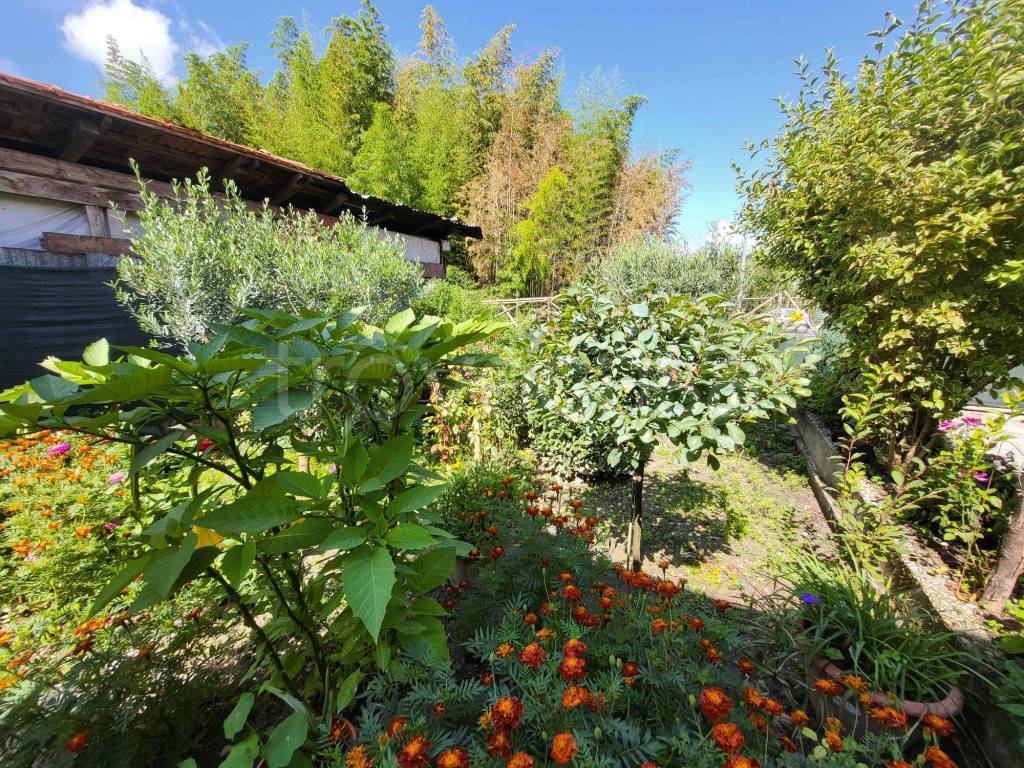 immagine annuncio 2 di 14