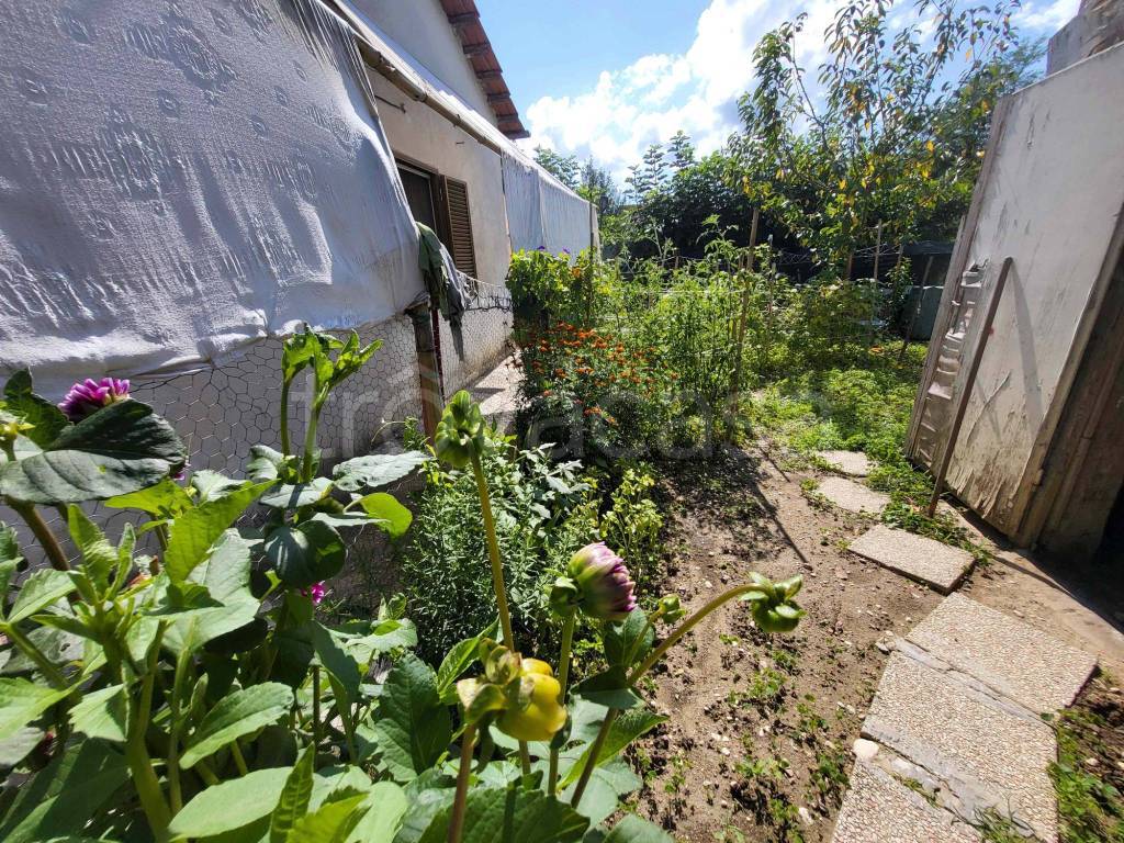 immagine annuncio 4 di 14