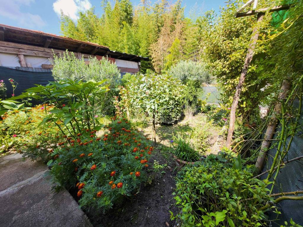 immagine annuncio 13 di 14