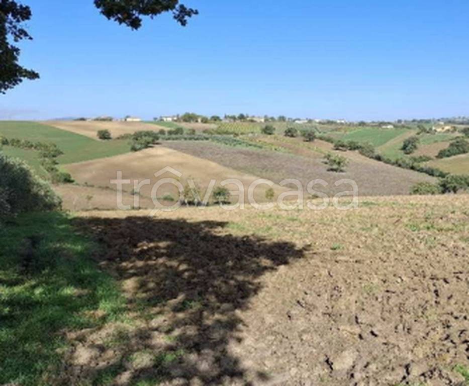 immagine annuncio 4 di 9