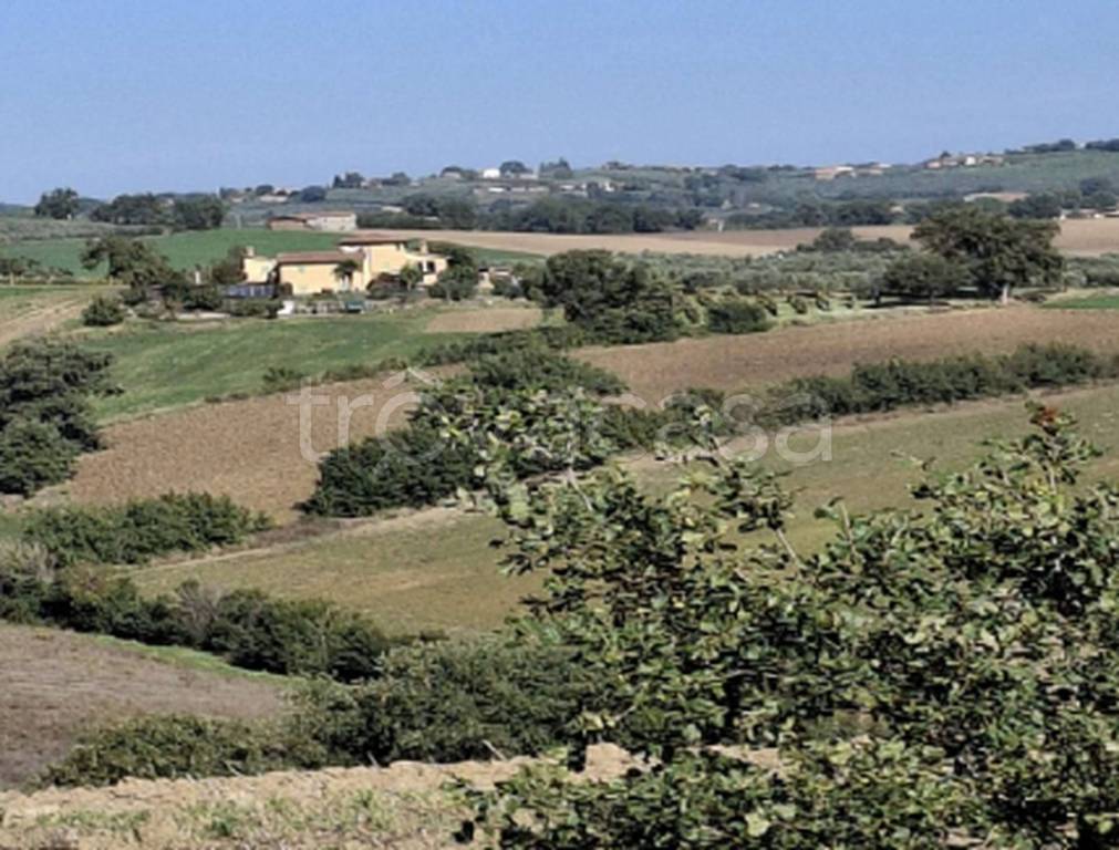 immagine annuncio 6 di 9