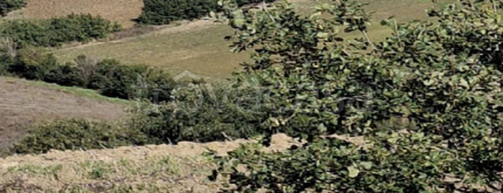 immagine annuncio 7 di 9