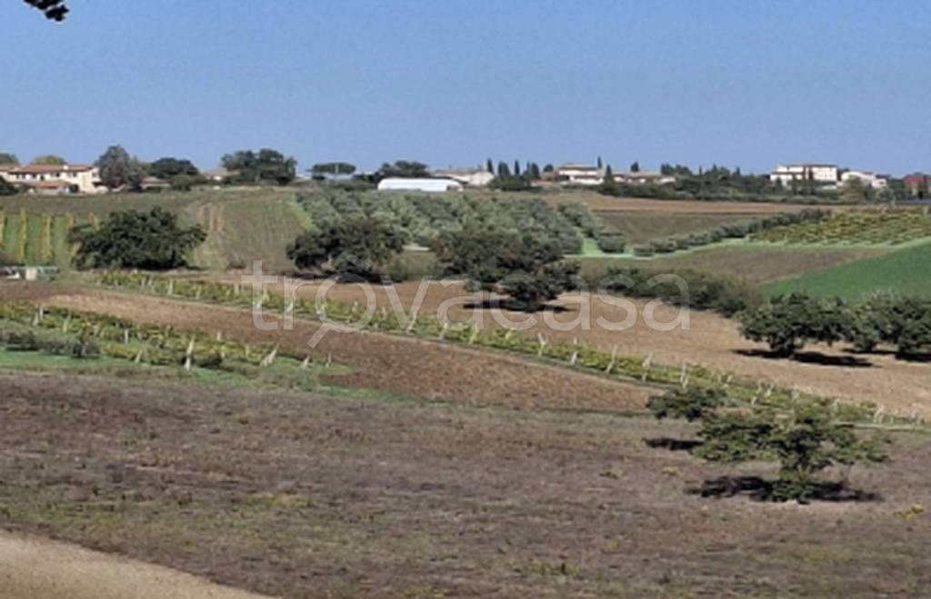 immagine annuncio 8 di 9