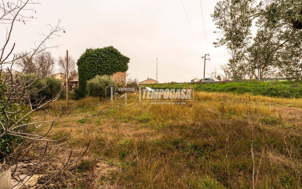 immagine annuncio 9 di 13