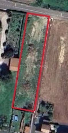 immagine annuncio 1 di 2