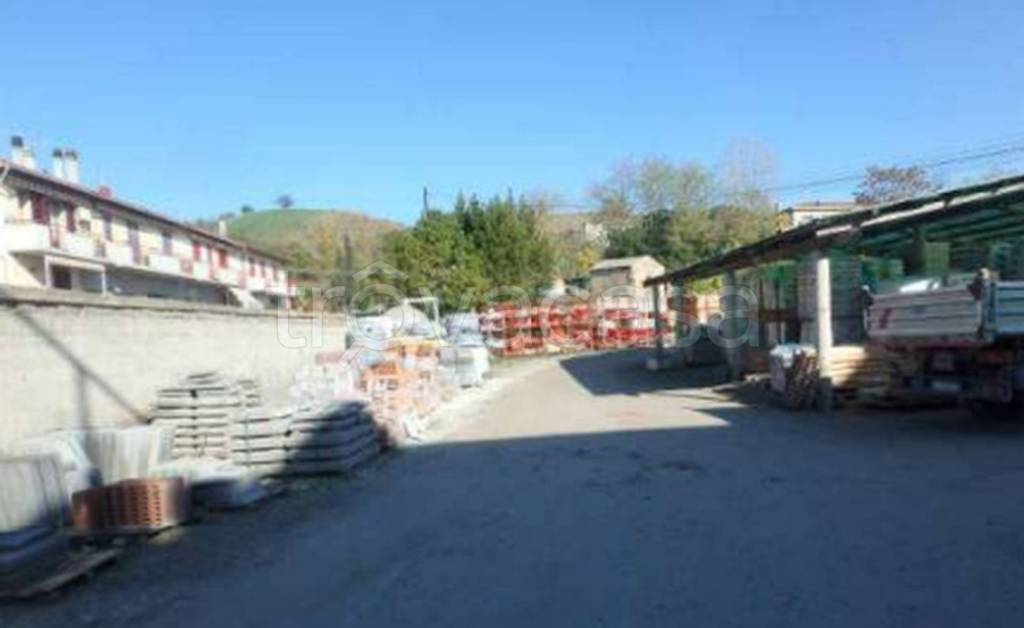 immagine annuncio 4 di 12