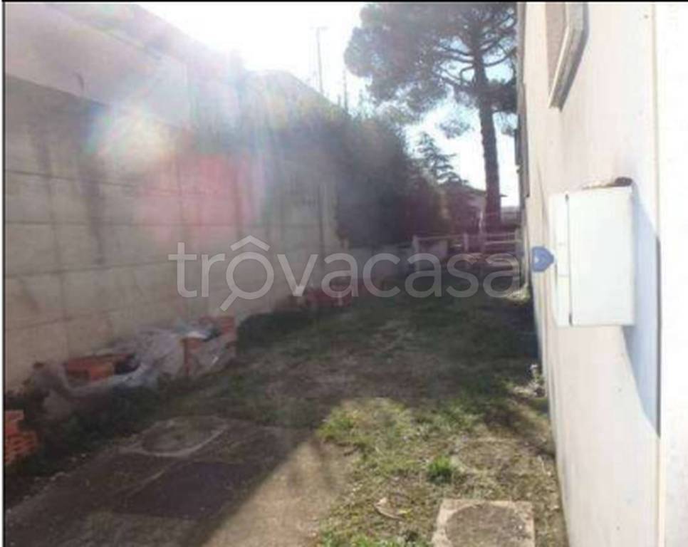 immagine annuncio 7 di 12