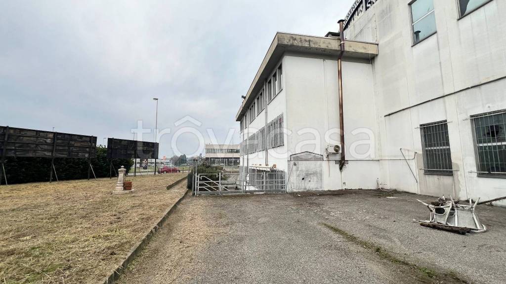 immagine annuncio 10 di 15