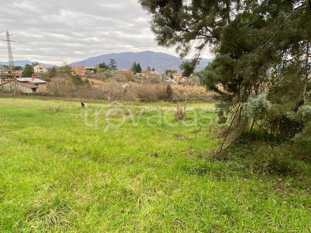 immagine annuncio 3 di 7