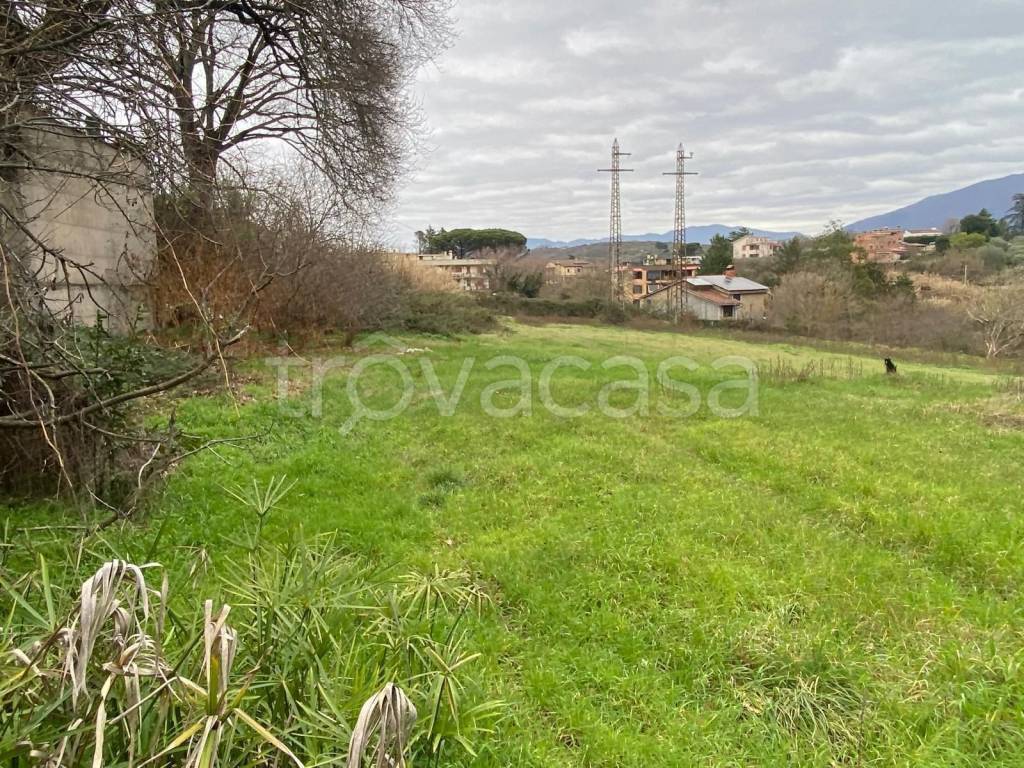 immagine annuncio 4 di 7