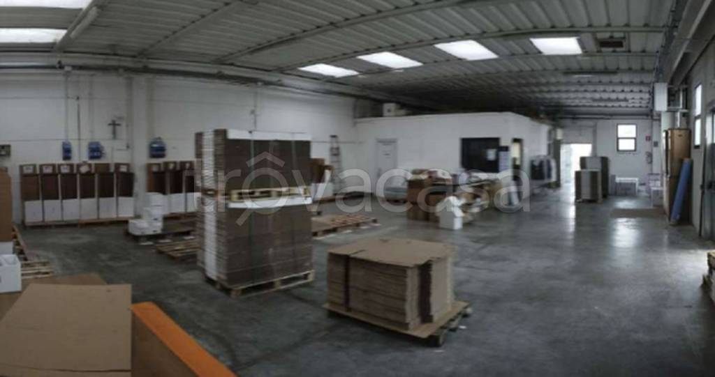 immagine annuncio 5 di 11