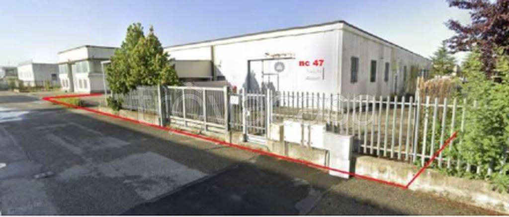 immagine annuncio 9 di 11