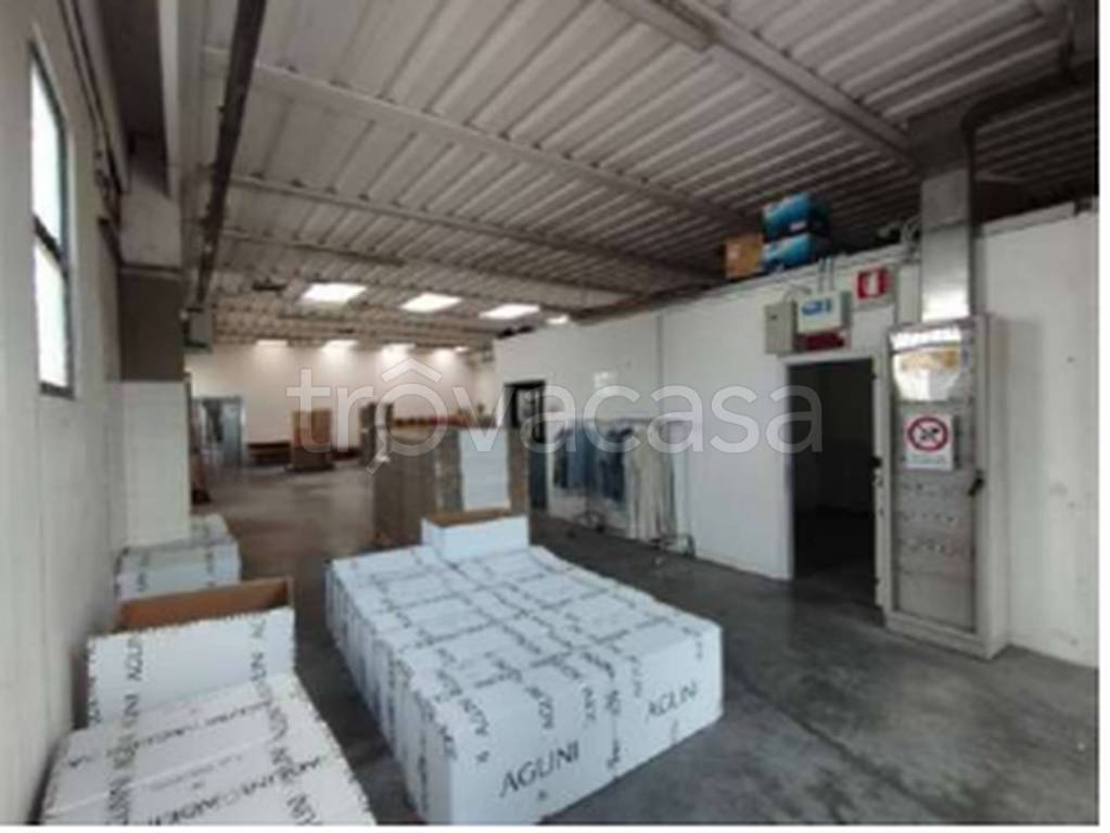 immagine annuncio 10 di 11