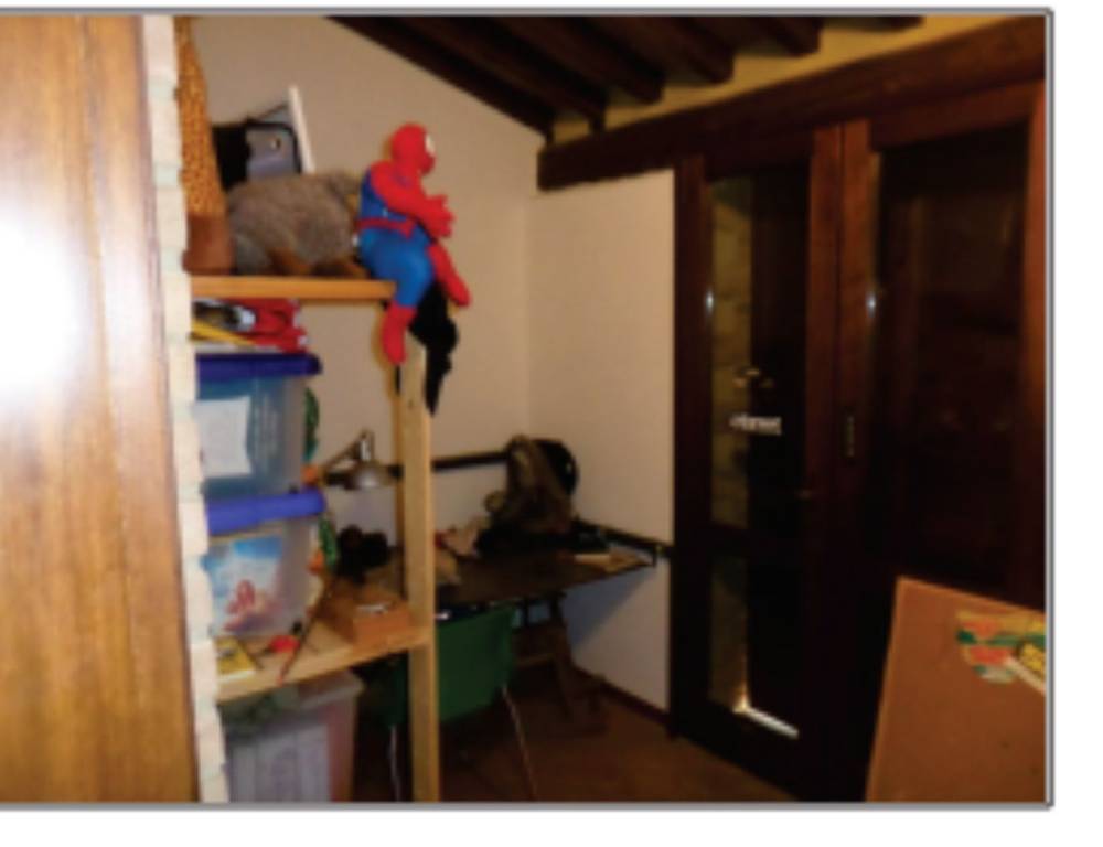 immagine annuncio 11 di 14