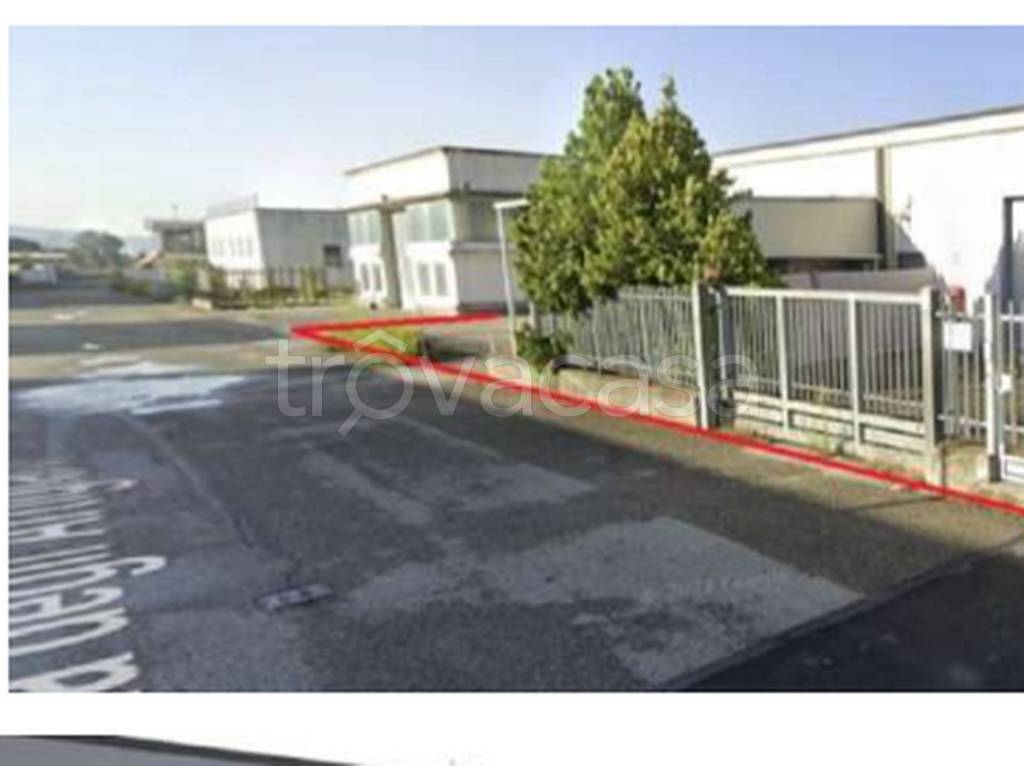 immagine annuncio 6 di 12