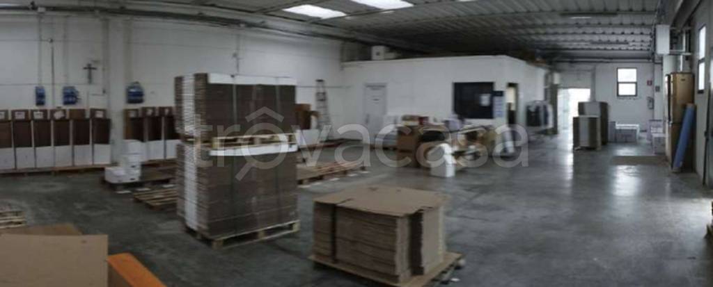 immagine annuncio 8 di 12