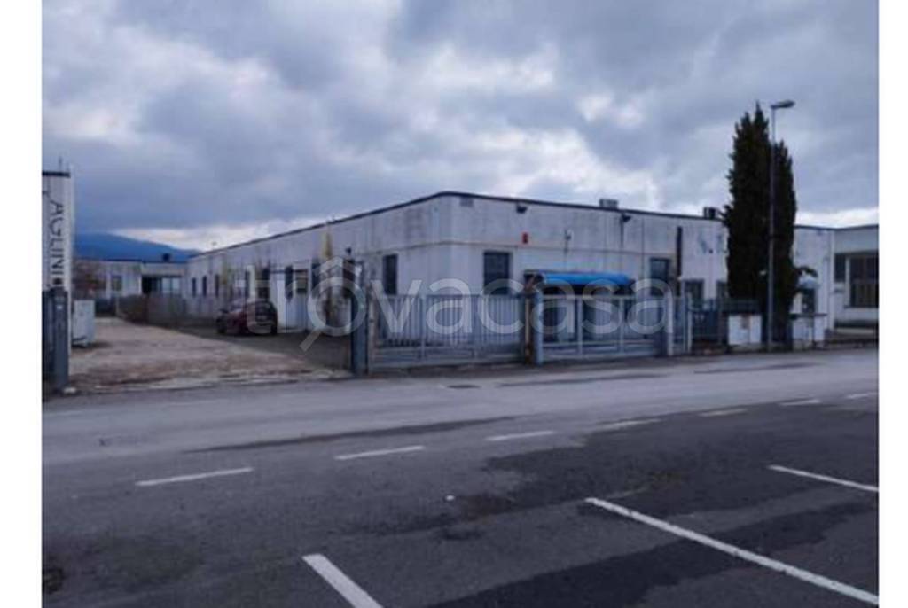 immagine annuncio 9 di 12