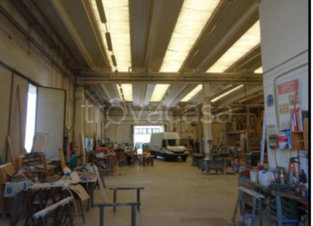 immagine annuncio 4 di 11