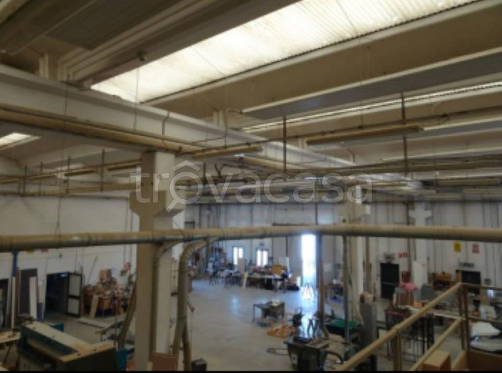 immagine annuncio 5 di 11