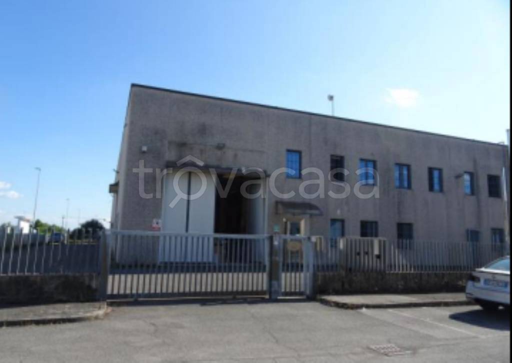 immagine annuncio 7 di 11